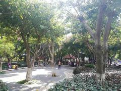 -江头公园