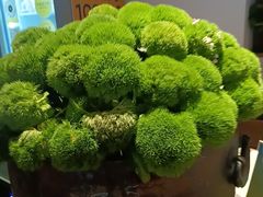 -老绥元烧麦·家常菜(大召店)
