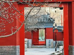 -北京艺术博物馆(万寿寺)