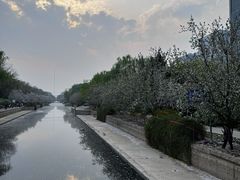 -元大都城垣遗址公园