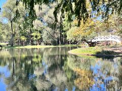 -上海共青森林公园