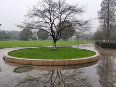 -武汉大学图书馆·文理学部总馆