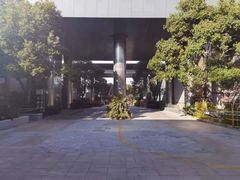 -上海浦东康桥绿地假日酒店
