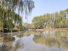 -西安浐灞国家湿地公园