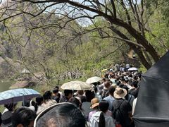 -嵖岈山风景区