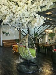 点击看大图 -美年亲子儿童摄影(合肥市滨湖新区金泉小区店)