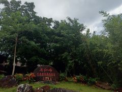 -七仙岭温泉国家森林公园