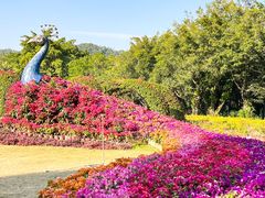 -东南花都花博园