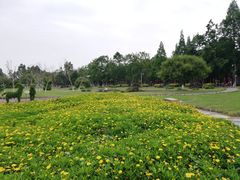 -夏河溪乡野公园