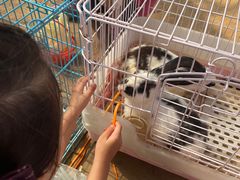 -前小桔亲子创意农场·草莓采摘·露营烧烤