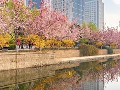 -元大都城垣遗址公园