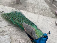 -昆山城市生态森林公园