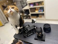 -瑞派康怡24h宠物医院·犬猫医疗中心·微创绝育(瑞景分院)