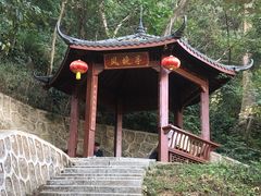 -黄埔油麻山森林公园