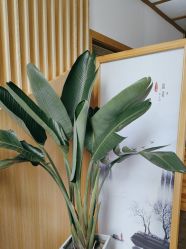 -宥莉·ULLY 痘敏肌•科技皮肤管理中心
