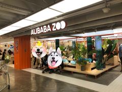 -盒马X会员店(王府井奥莱UP TOWN店)
