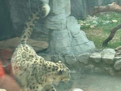 -青藏高原野生动物园