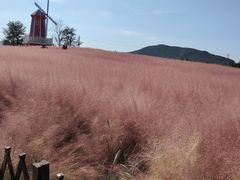 -羊亭河湿地公园