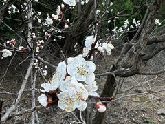 -青州市云门山风景区