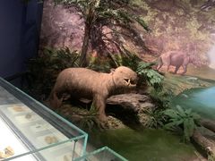 -湖南省地质博物馆