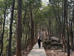-火炉山森林公园