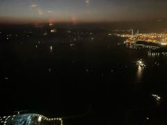 -天龙轩(香港丽思卡尔顿酒店)