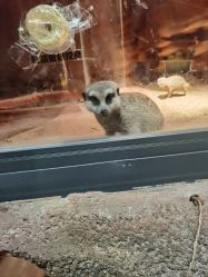 -酷嗒动物文化乐园(cutezoo西溪乐天城店)