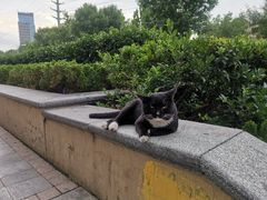 -梵行小馆烤肉(即墨店)