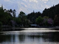 -黑龙潭公园