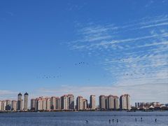 -厦门园林博览苑