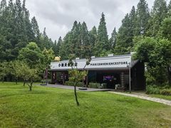 -黄海国家森林公园