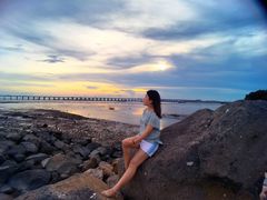 -宝安西湾红树林湿地公园