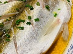 清蒸白水鱼-品渔味湖鲜馆(拈花湾店)