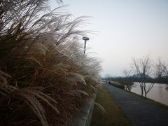 -羊山湖公园