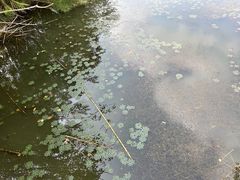 -白鹭湾湿地公园