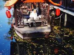 -侨美·唐荔园·40年地道粤菜