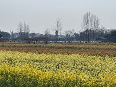 -中国天府农业博览园