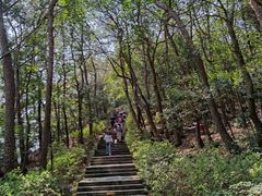 -溪口-滕头旅游景区