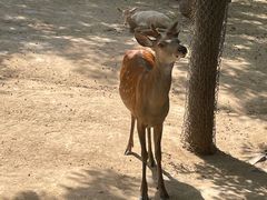 -石家庄市动物园