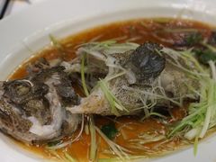 老虎斑-晶荷轩(香港迪士尼乐园酒店)