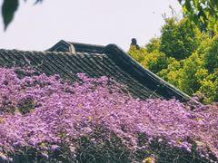 -西园戒幢律寺