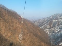 -栾川竹海野生动物园