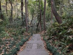 -杭州黄龙洞