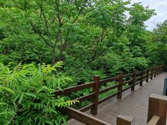 -黄公望隐居地