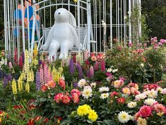 -上海共青森林公园