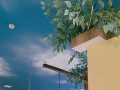 -菌彩云南野生菌火锅(呈贡七彩云南第壹城店)