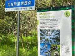 -同里国家湿地公园