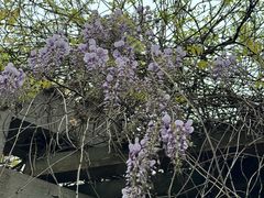 -白塘生态植物园
