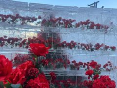 -万达广场(龙湖店)