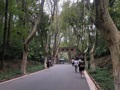 -灵谷景区
